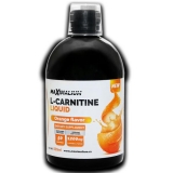 Max L-carnitine 500ml (50 serv.)